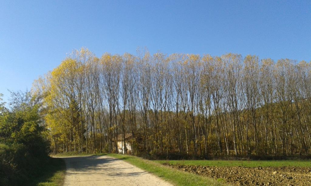 Vista Sul Patrimonio Dell'Unesco Cortiglione Esterno foto